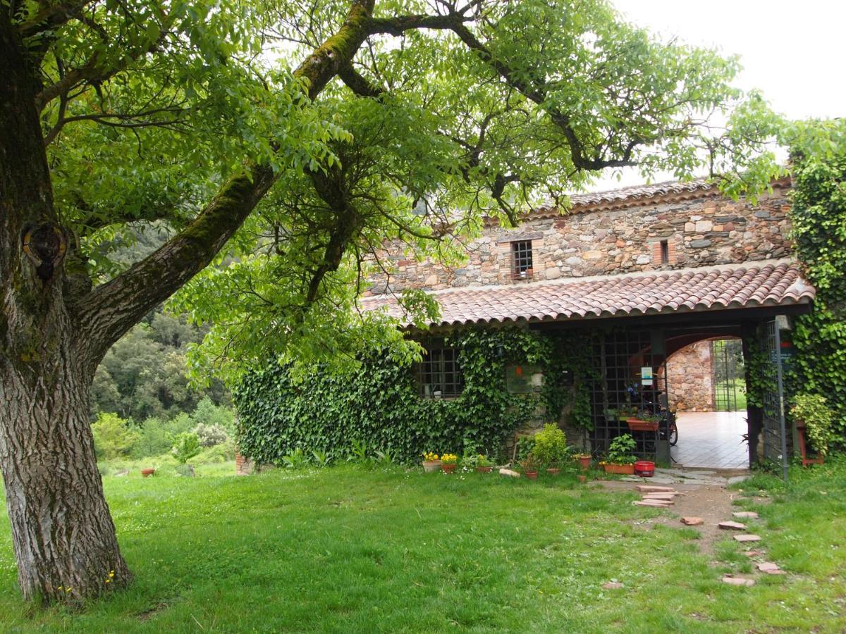 Bed And Breakfast Casanova De Sant Miquel Aiguafreda Ngoại thất bức ảnh
