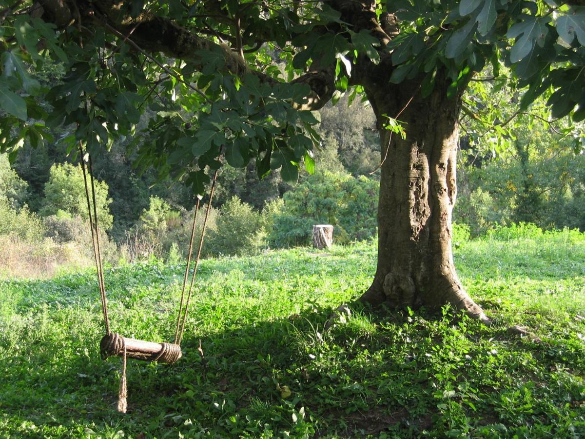 Bed And Breakfast Casanova De Sant Miquel Aiguafreda Ngoại thất bức ảnh