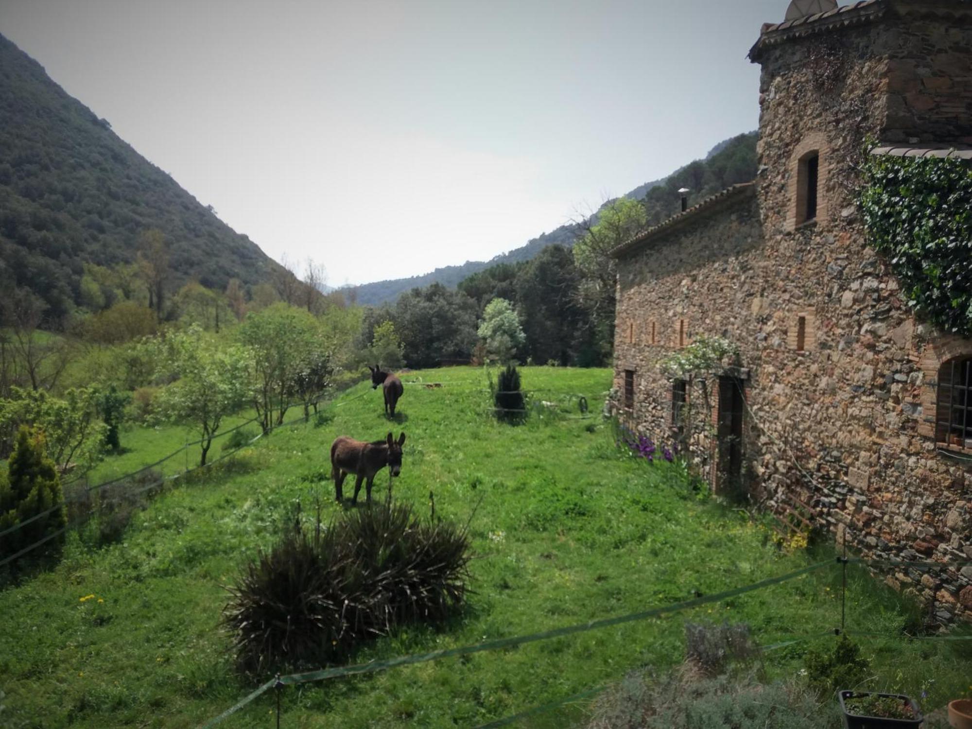 Bed And Breakfast Casanova De Sant Miquel Aiguafreda Ngoại thất bức ảnh